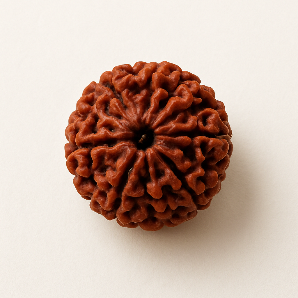 Rudraksha