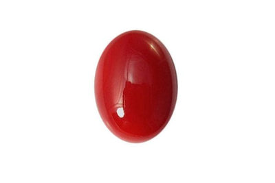 Red Coral (Moonga)